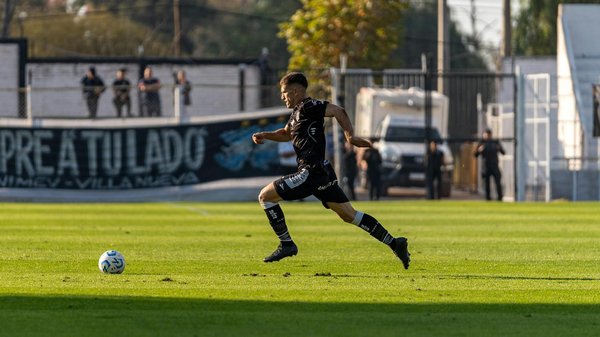 Grün in der stadt: wie dachbegrünungen die artenvielfalt urbaner räume stärken