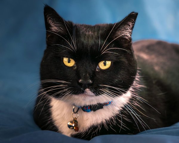 Strategien zur Stärkung der Resilienz von Küstenstädten im Angesicht des Meeresspiegelanstiegs